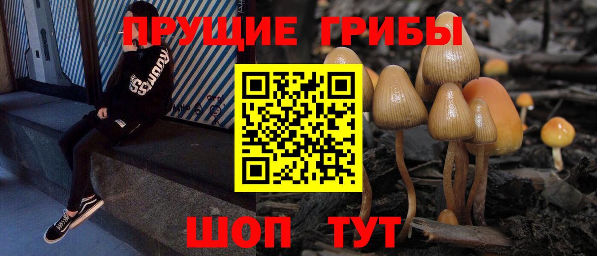 Волжск  Галлюциногенные грибы GOLDEN TEACHER  Вход с VPN  Галлюциногенные грибы Cubensis 